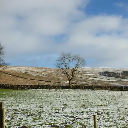 Holiday home Dale View *